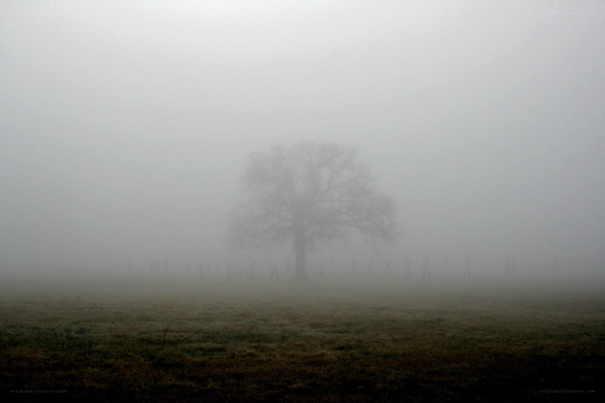 Foggy field with tree and figures