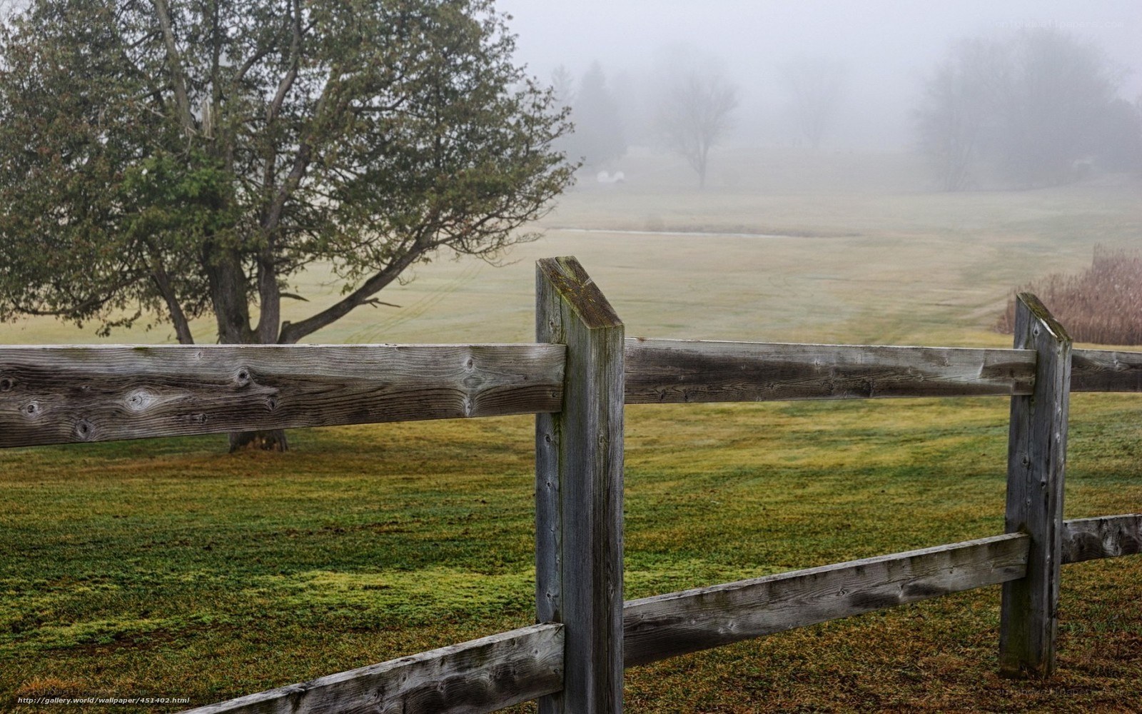 Foggy Field with Wooden Fence
