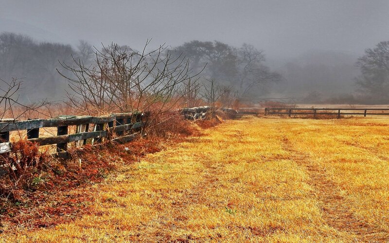 Foggy field with wooden fence