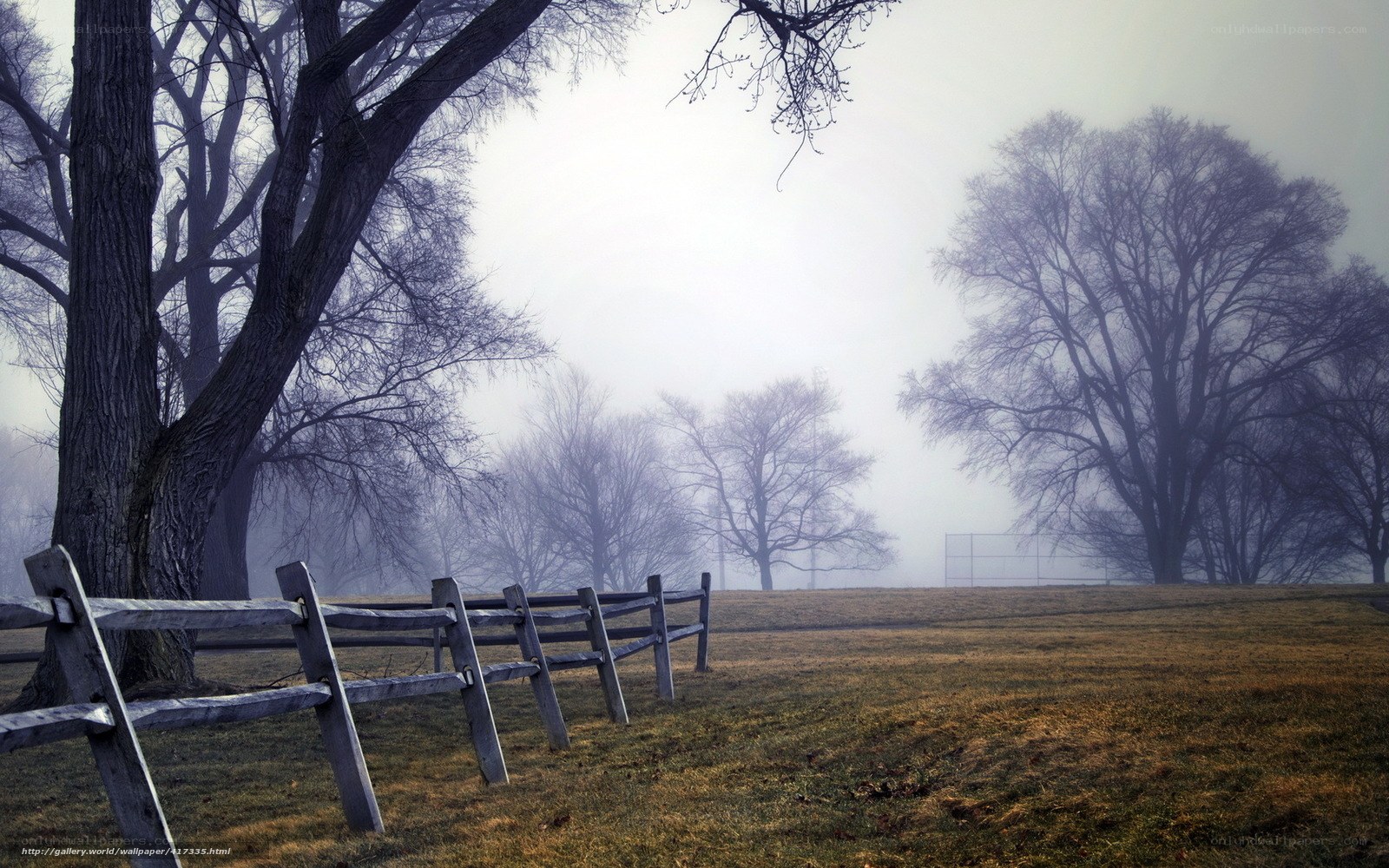 Foggy Field with Wooden Fence