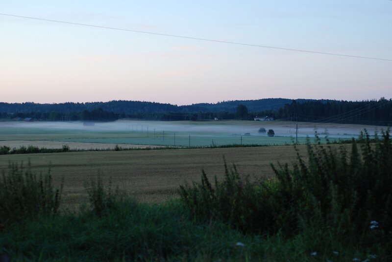Foggy fields at dawn
