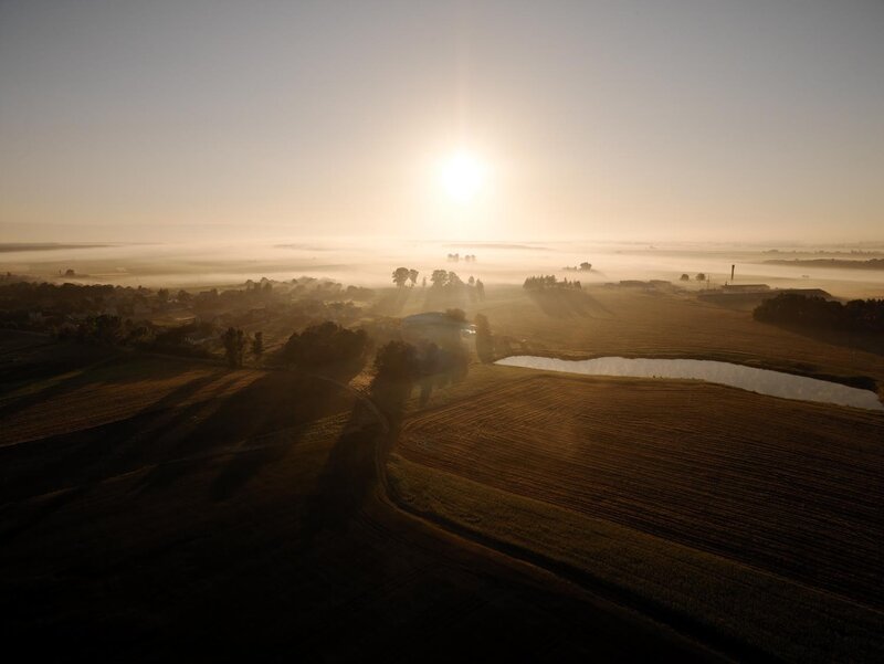 Foggy Fields at Sunrise — Gold