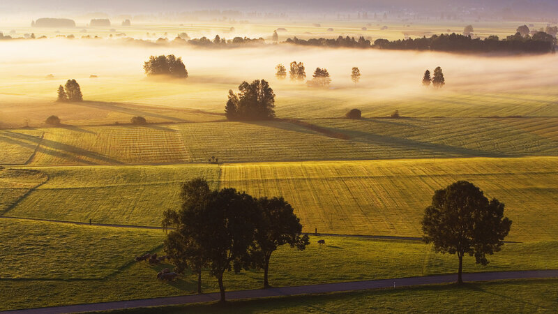 Foggy Fields at Sunrise — Green