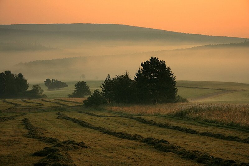 Foggy Fields at Sunrise — Orange