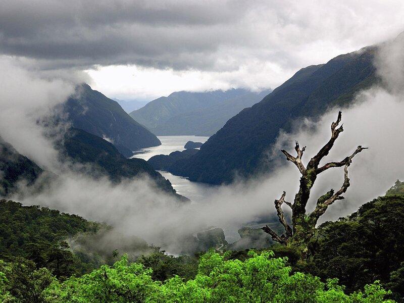 Foggy Fjord Landscape — Green, Dramatic, Morning