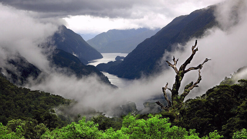 Foggy Fjord Landscape — Green, Misty