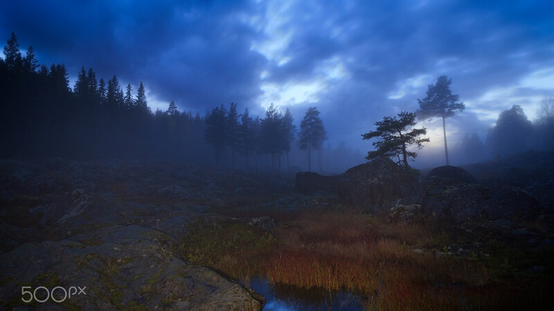 Foggy Forest at Dusk — Blue, Mysterious