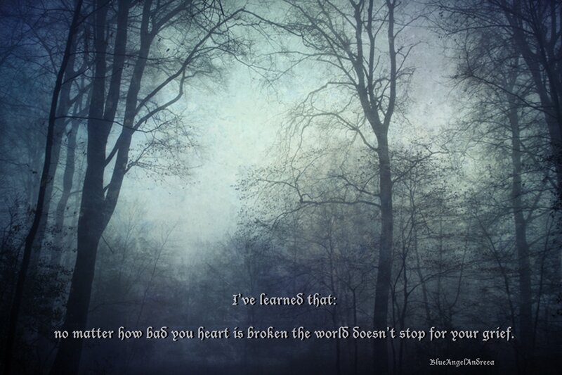 Foggy Forest at Night