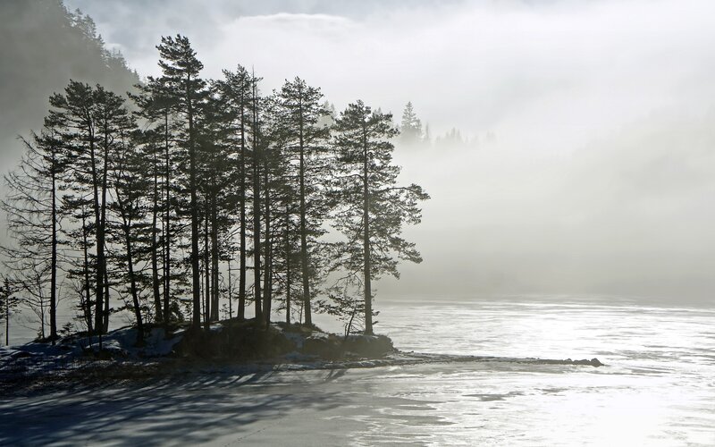 Foggy forest by frozen lake