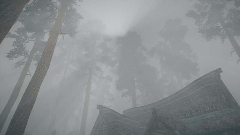 Foggy Forest House