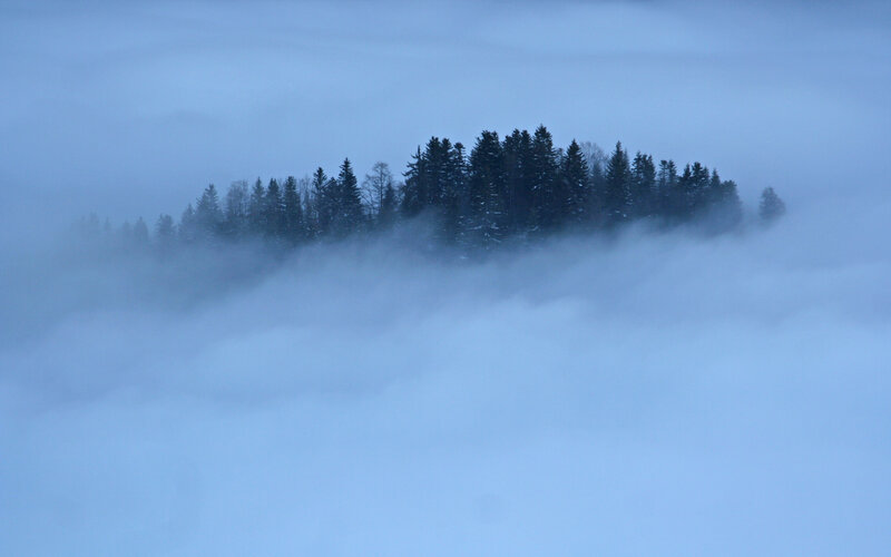 Foggy forest island