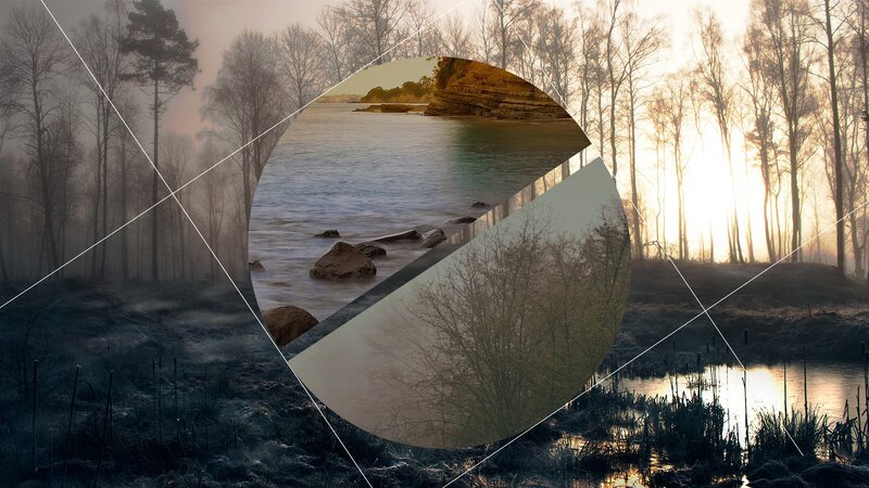 Foggy Forest Lake — Gray