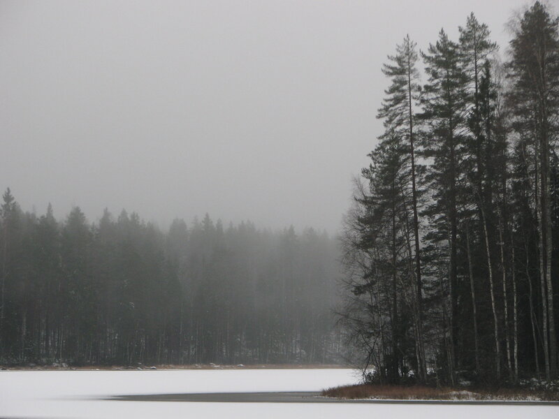 foggy forest lake in winter