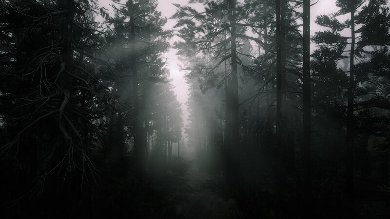 Foggy Forest Path — Gray, Dark