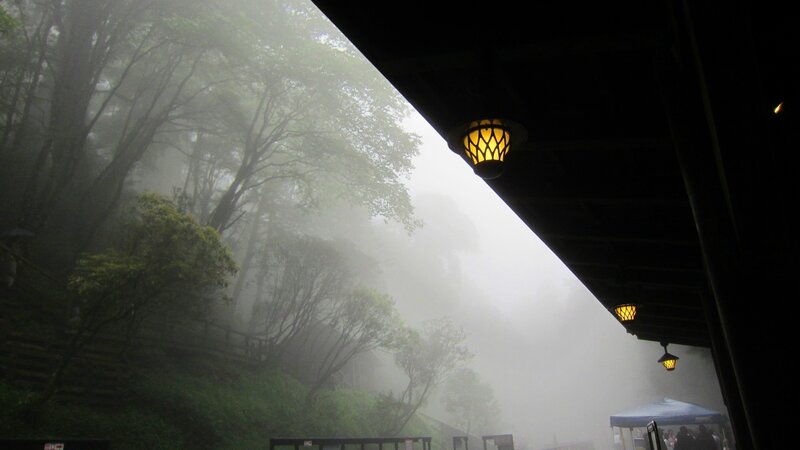 Foggy Forest Path — Green, Misty, Morning, Photograph, Lanterns