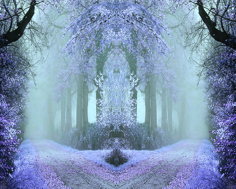 Foggy Forest Path — Purple, Mystical