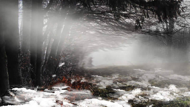 Foggy Forest Path — White