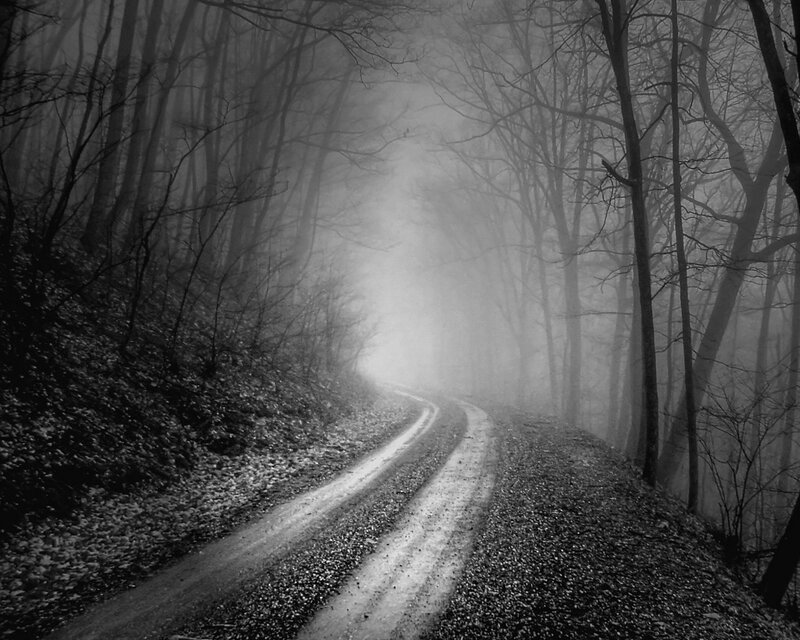 Foggy forest road