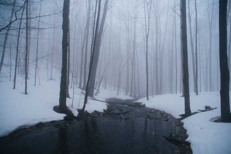 Foggy forest stream in winter