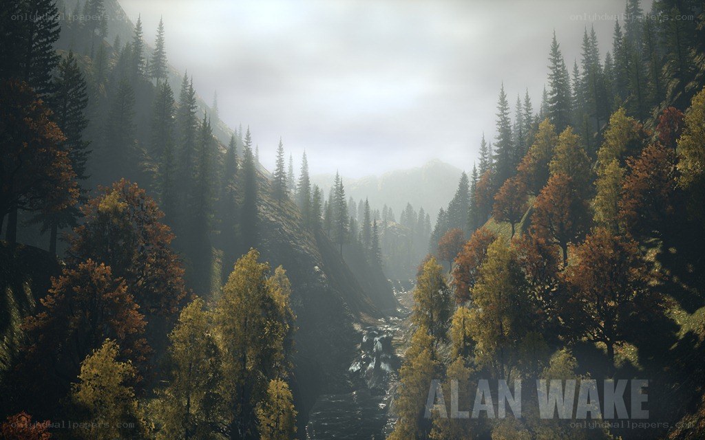 foggy forest valley