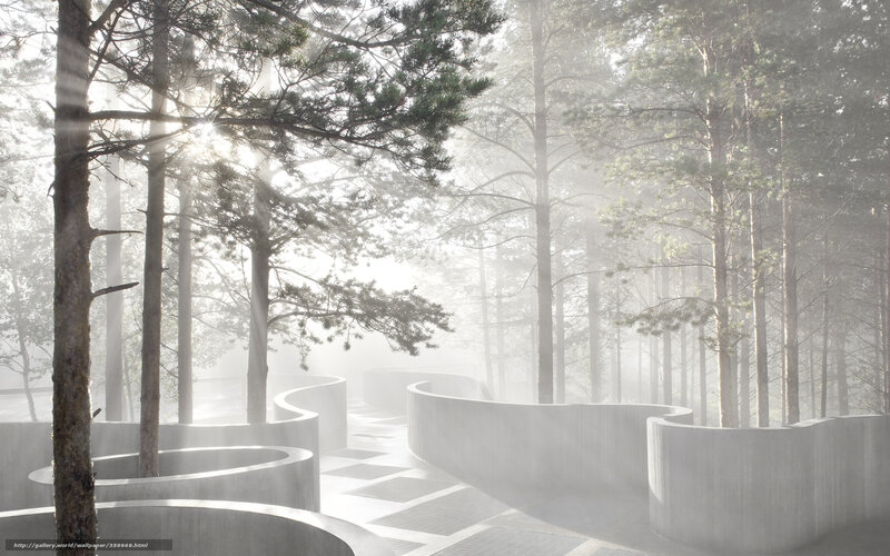 Foggy forest with concrete structures