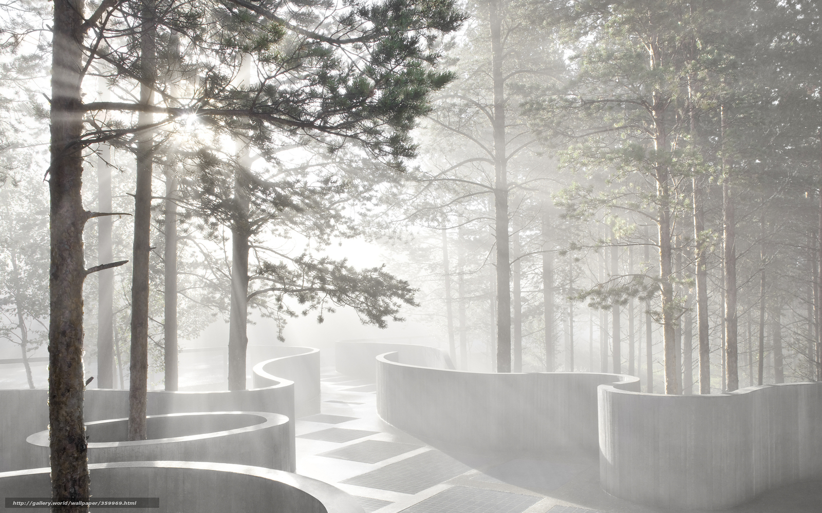Foggy forest with concrete structures
