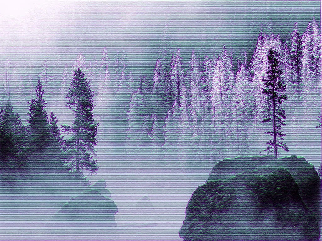 foggy forest with digital glitch
