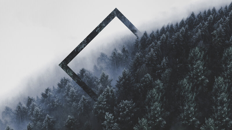 Foggy Forest with Frame