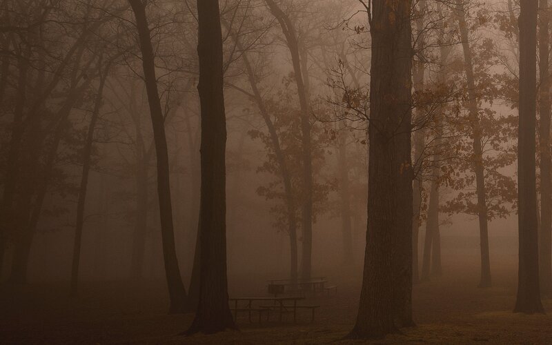 Foggy forest with picnic tables