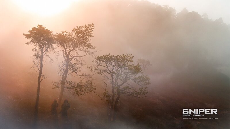 Foggy forest with silhouettes