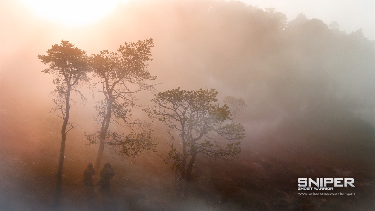 Foggy forest with silhouettes