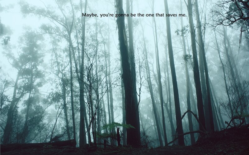 Foggy Forest with Trees — Gray, Mysterious