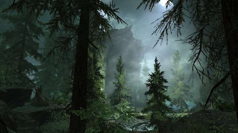 Foggy Forest with Trees — Green