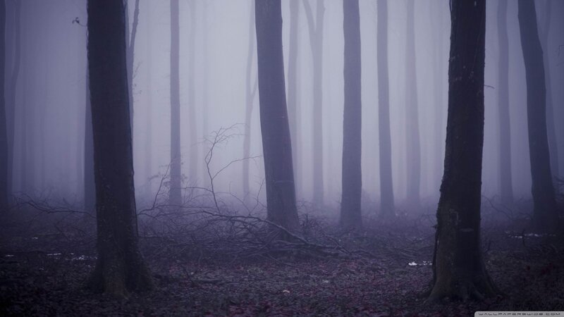 Foggy Forest with Trees — Purple