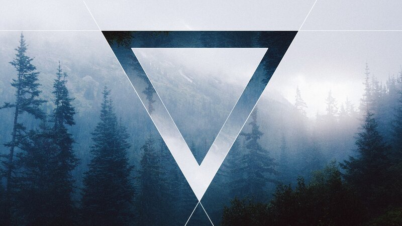 Foggy Forest with Triangles
