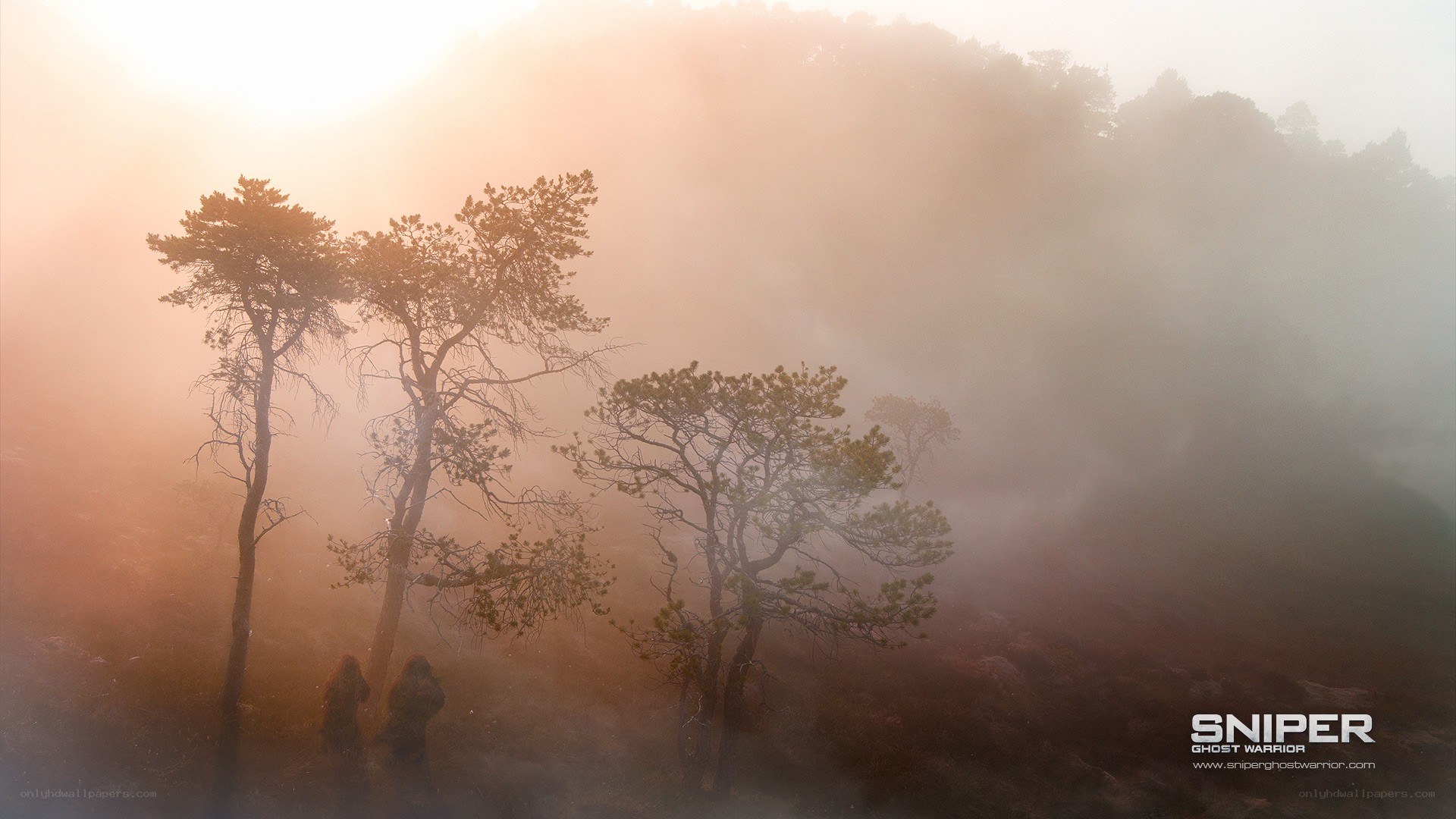 Foggy forest with two figures