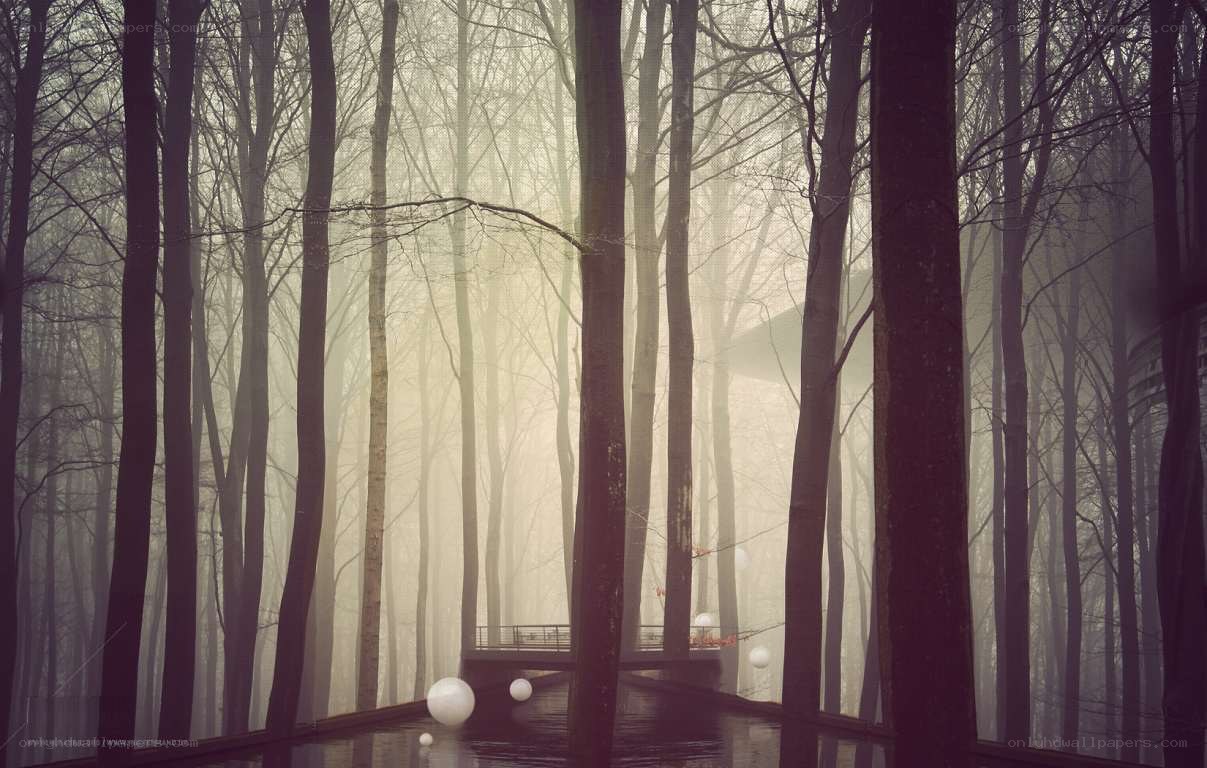 Foggy forest with white spheres