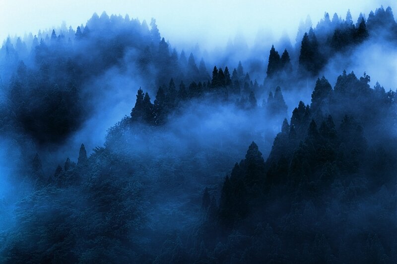 Foggy Forested Hills — Blue