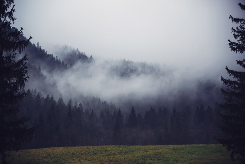 Foggy Forested Hills — Gray, Misty, Morning, Photograph