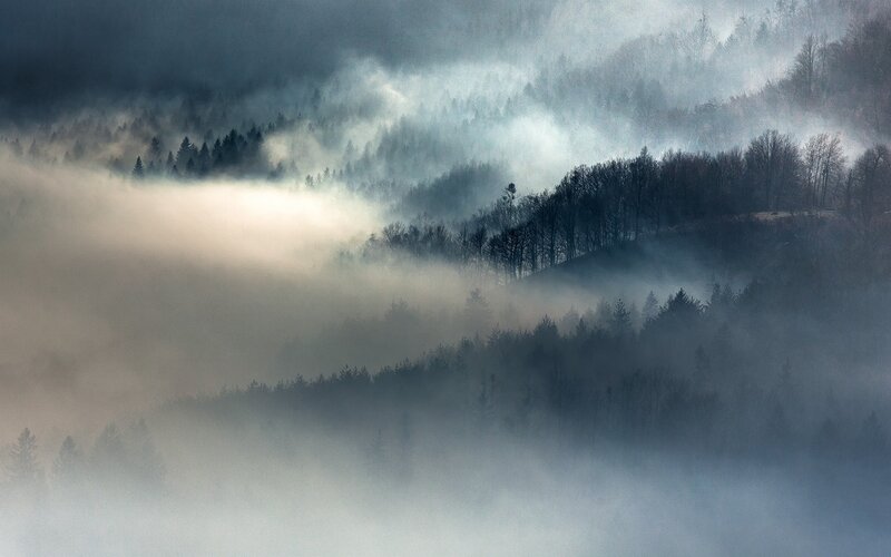 Foggy Forested Hills — Gray, Misty, Morning