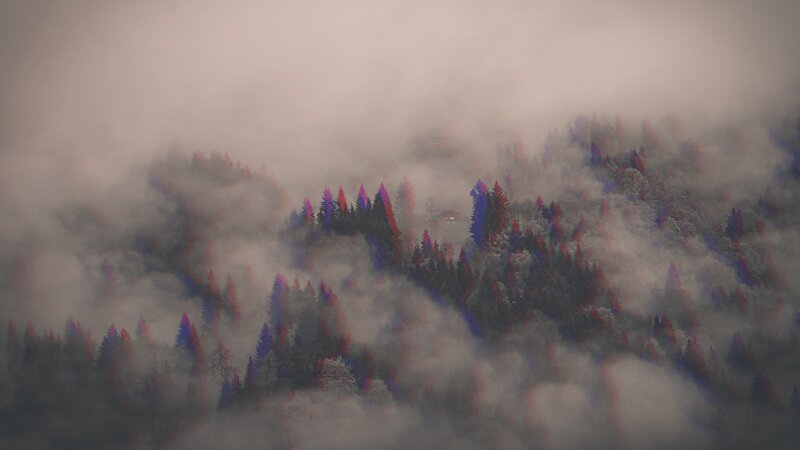 Foggy Forested Hills — Gray, Misty