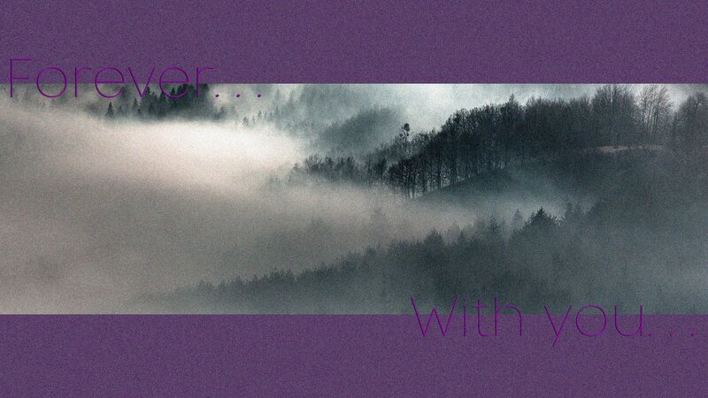 Foggy Forested Hills — Purple