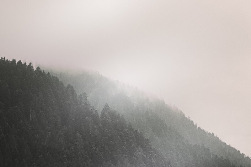Foggy Forested Mountain — Gray