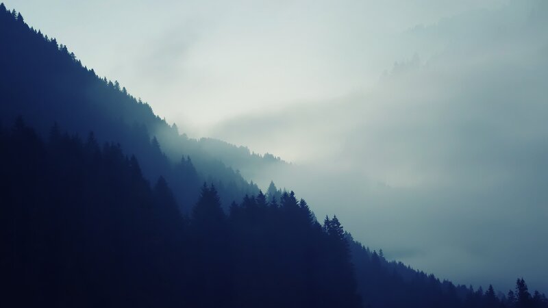 Foggy Forested Mountains — Blue, Serene