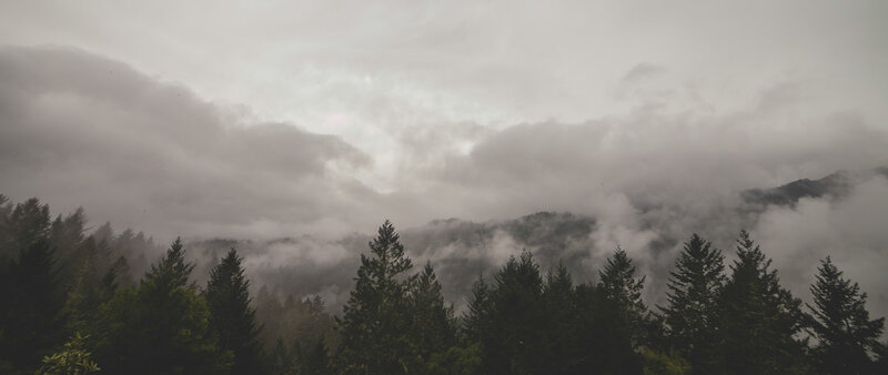 Foggy Forested Mountains — Gray, Misty, Photograph