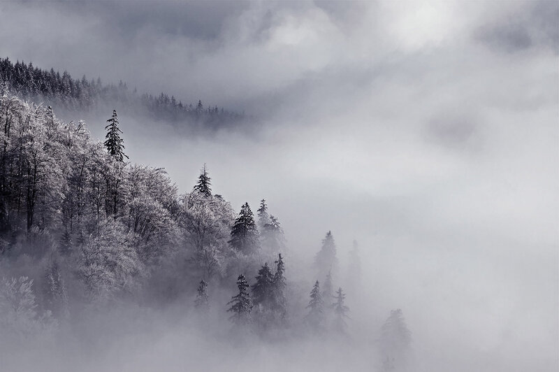 Foggy Forested Mountains — Gray