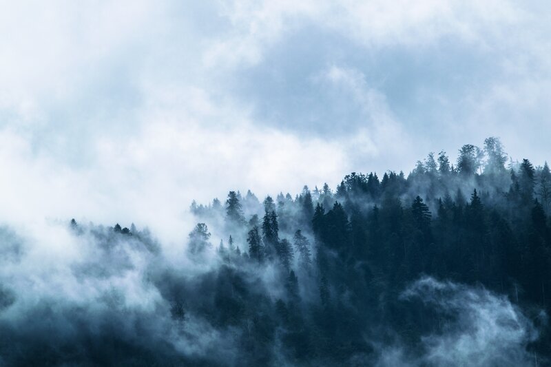 Foggy Forested Mountainside — Blue