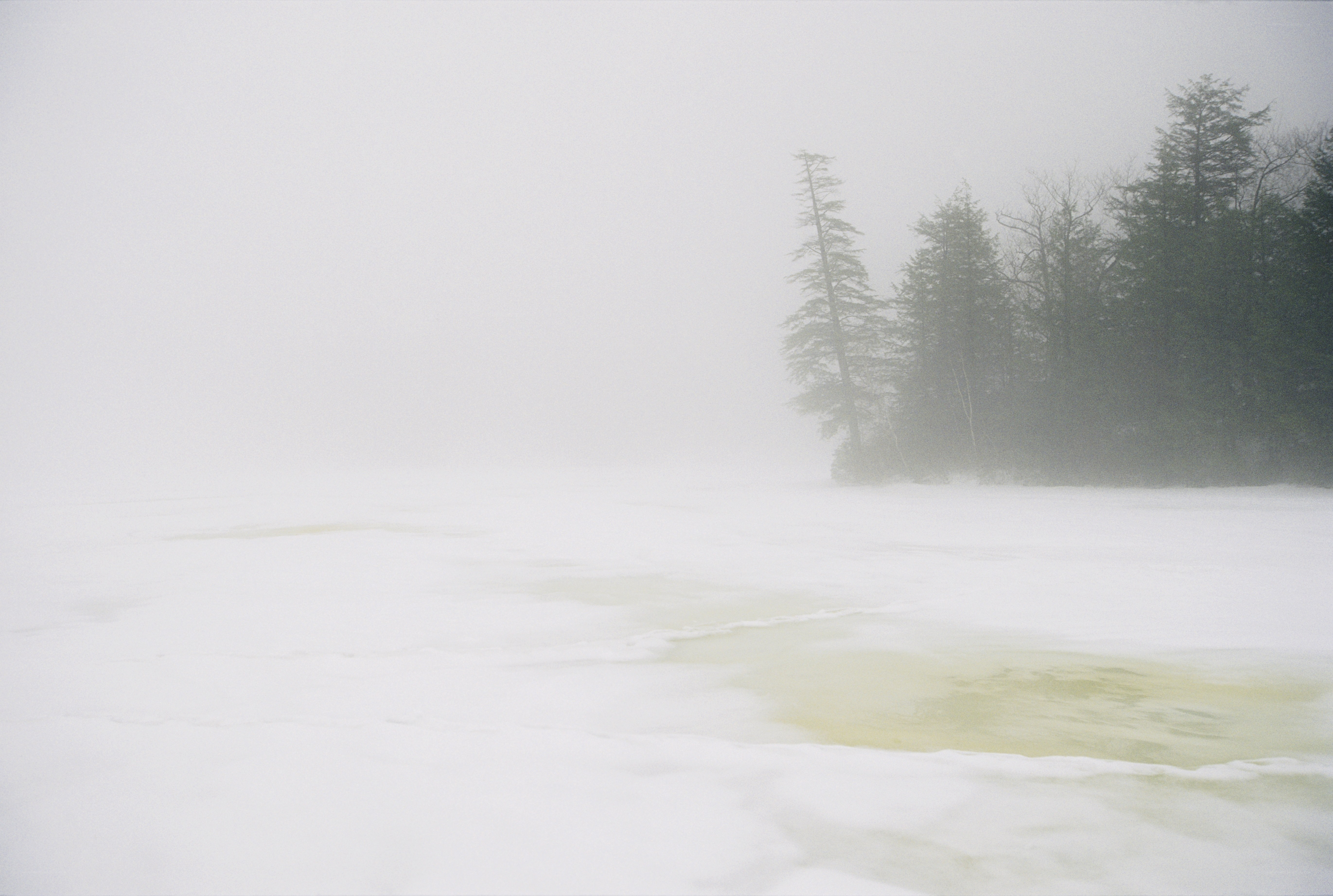 Foggy frozen lake with trees