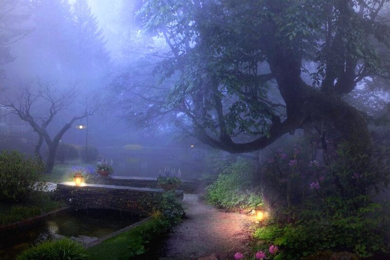 Foggy Garden Path