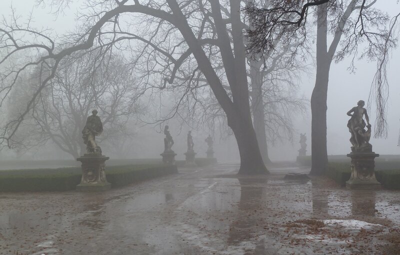 Foggy garden with statues